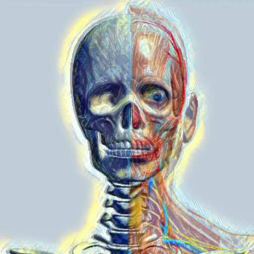 Play Anatomy View APK