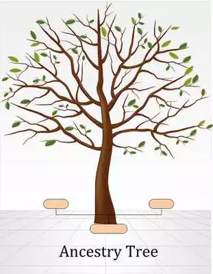 Play Ancestry_Tree