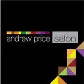 Free play online Andrew Price Salon APK Free play online Andrew Price Salon APK