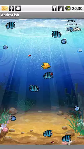 Play AndroFish (1.5) Play AndroFish (1.5)