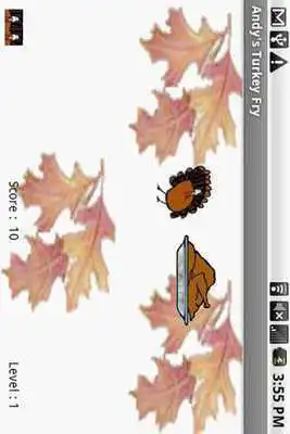 Play Andys Turkey Fry Free