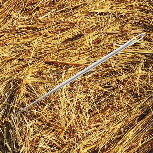 Play a needle in a haystack APK