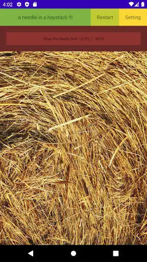 Play a needle in a haystack as an online game a needle in a haystack with UptoPlay