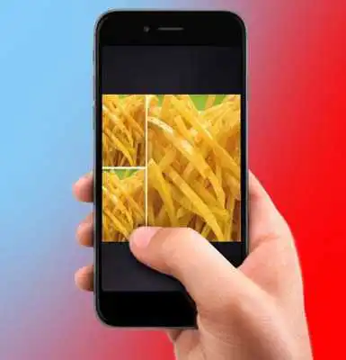 Play Aneka Resep Keripik