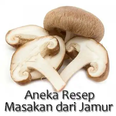 Play Aneka Resep Masakan Dari Jamur