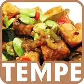 Free play online Aneka Resep Tempe APK