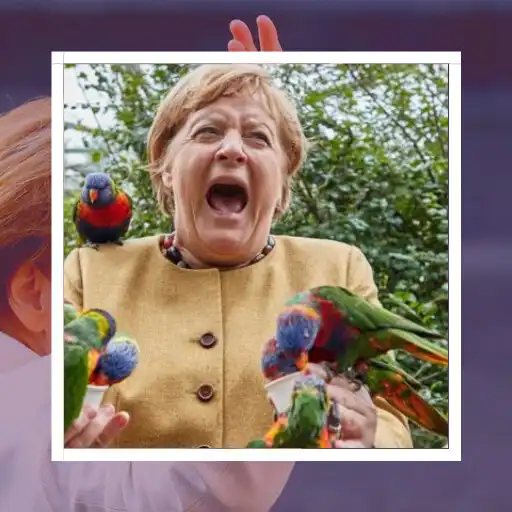 Play Angela Merkel Meme Soundboard APK