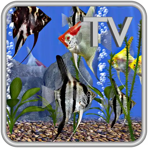 Play Angel Fish Aquarium TV Live APK Play Angel Fish Aquarium TV Live APK