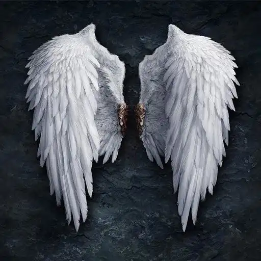 Run free android online Angels Wallpapers APK Run free android online Angels Wallpapers APK