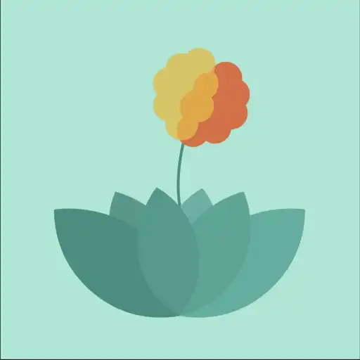 Play Anger Panic Attack Management APK