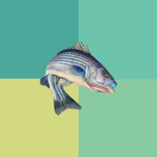 Play AnglerCatch APK