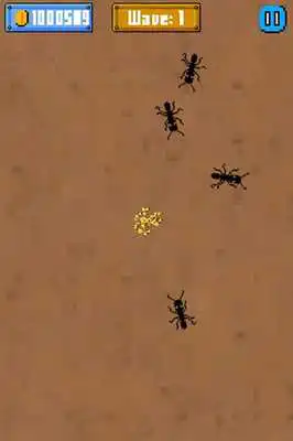 Play Angry Ant Crush