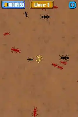 Play Angry Ant Crush