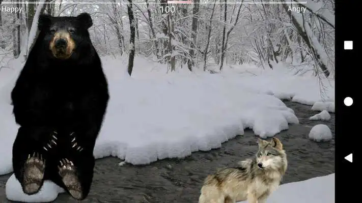 Play Angry Bear