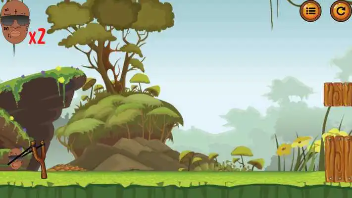 Play Angry Birdman