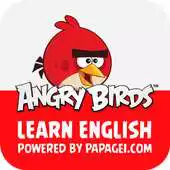 Free play online Angry Birds Learn English APK