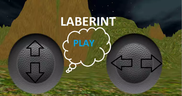 Play Angry boir 3D