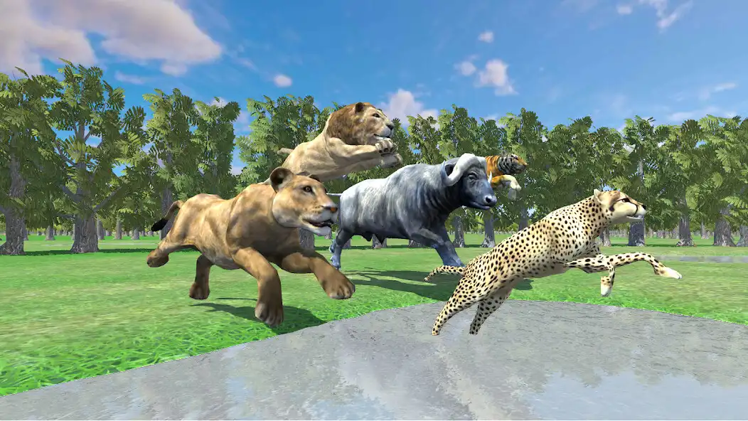 Play Angry Buffalo Wild Animal Race  and enjoy Angry Buffalo Wild Animal Race with UptoPlay