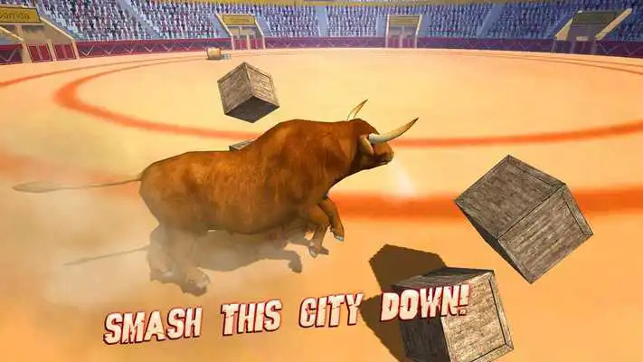 Play Angry Bull Corrida Simulator