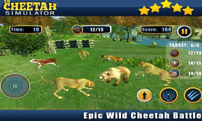 Play Angry Cheetah Wild Attack Sim