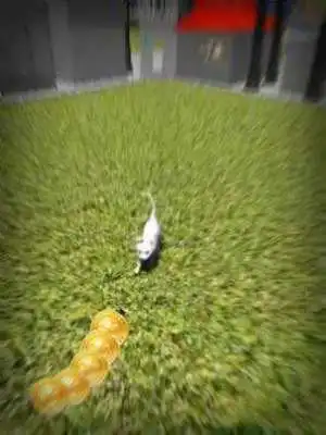 Play Angry Dog vs Cats