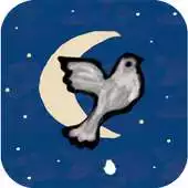 Free play online Angry Dove APK