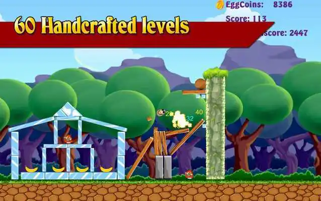 Play Angry Egg Bird vs Fox