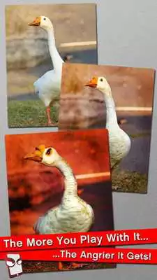 Play Angry Goose Free!