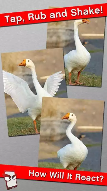 Play Angry Goose Free!
