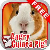 Free play online Angry Guinea Pig Free! APK Free play online Angry Guinea Pig Free! APK