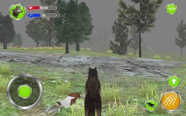 Play Angry Killer Wolf 3d Simulator