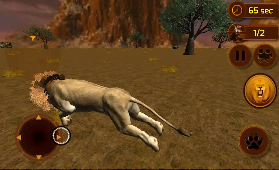 Play Angry Lion Wild Simulator