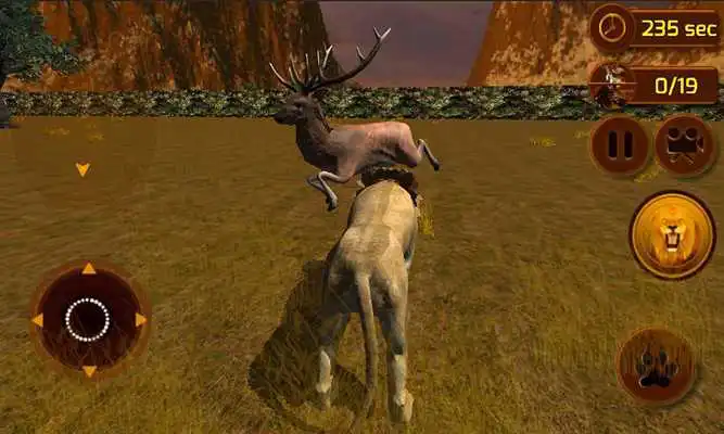 Play Angry Lion Wild Simulator