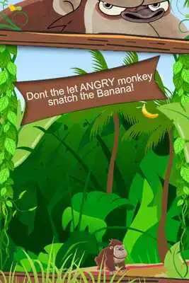 Play Angry Monkey