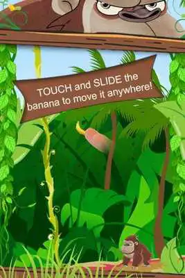 Play Angry Monkey