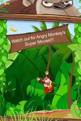 Play Angry Monkey
