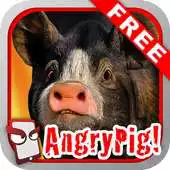 Free play online Angry Pig Free! APK Free play online Angry Pig Free! APK