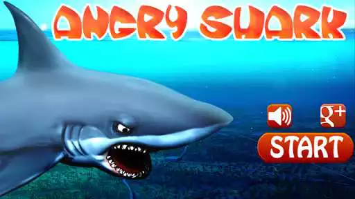 Play Angry Shark  and enjoy Angry Shark with UptoPlay