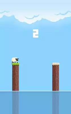 Play Angry Sheep