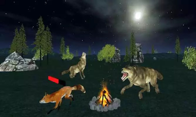 Play Angry Wolf Jungle 3D