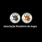 Free play online Angus App APK