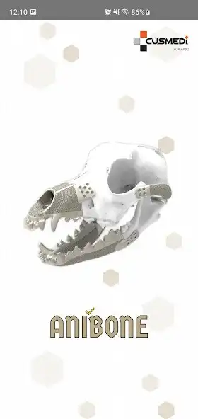 Play Anibone  and enjoy Anibone with UptoPlay