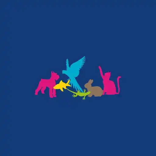 Play Anido Digital APK