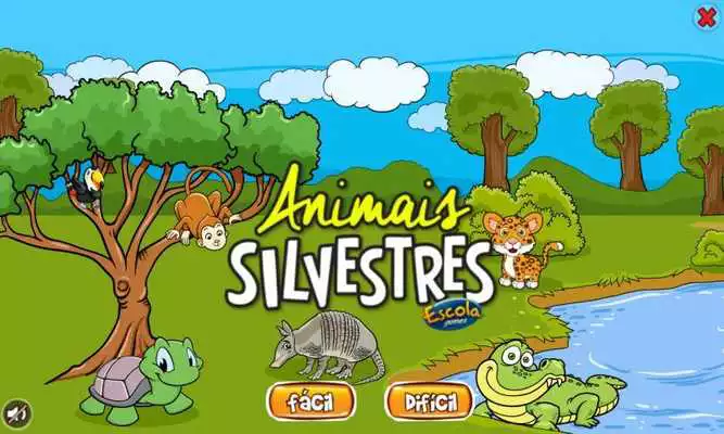 Play Animais Silvestres Play Animais Silvestres