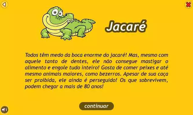 Play Animais Silvestres Play Animais Silvestres