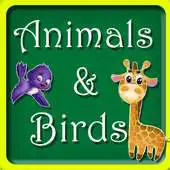Free play online Animal and Birds learn and Spell. APK Free play online Animal and Birds learn and Spell. APK