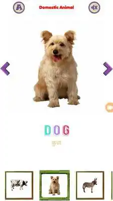 Play Animal and Birds learn and Spell.