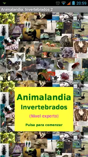 Play APK Animalandia Invertebrados Exp  and enjoy Animalandia Invertebrados Exp with UptoPlay appinventor.ai_fernando_lison.Animalandia_Invertebrados2