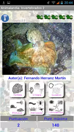 Play APK Animalandia Invertebrados Exp  and enjoy Animalandia Invertebrados Exp with UptoPlay appinventor.ai_fernando_lison.Animalandia_Invertebrados2