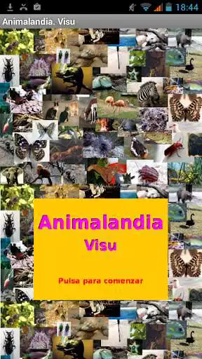 Play APK Animalandia Visu  and enjoy Animalandia Visu with UptoPlay appinventor.ai_fernando_lison.Animalandia_Visu